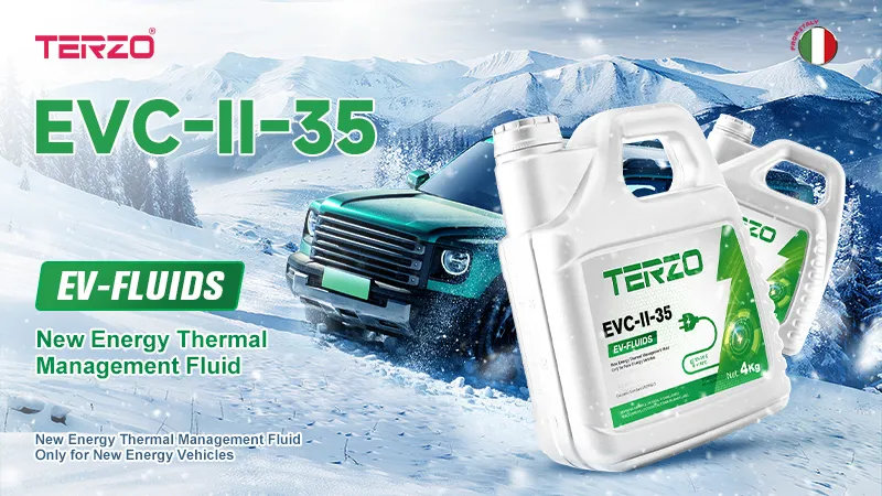 TERZO Thermal Management in Electric Vehicles